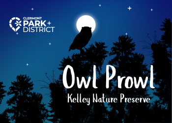 owl prowl